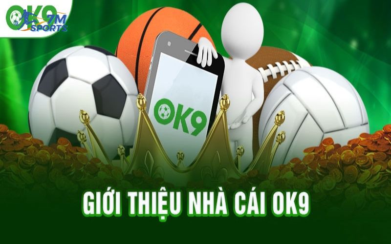 Tổng quan về nhà cái Ok9