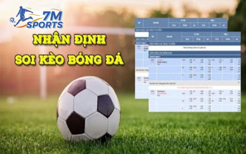 Các yếu tố quan trọng khi soi kèo nhà cái hôm nay